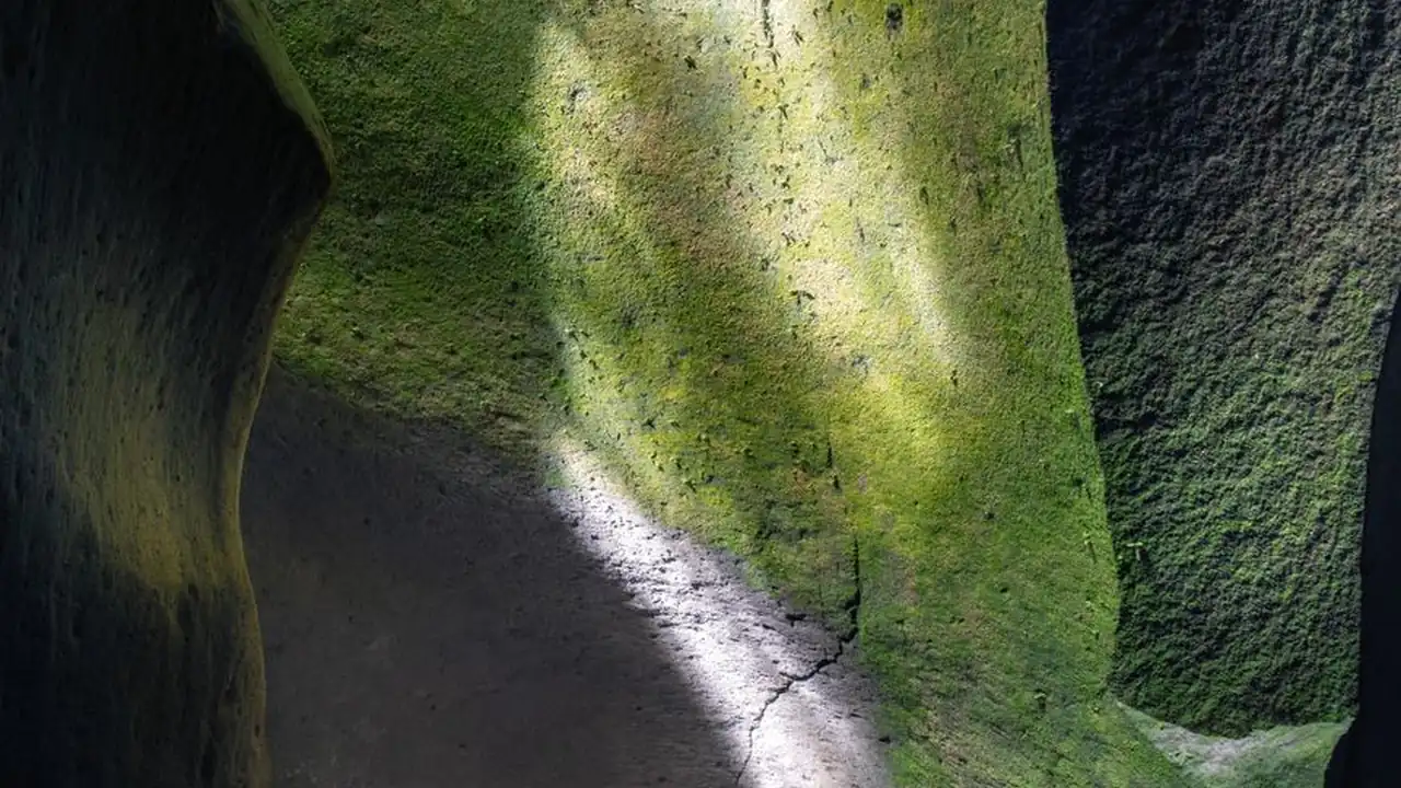水蜜桃免费观看电视剧的软件有哪些